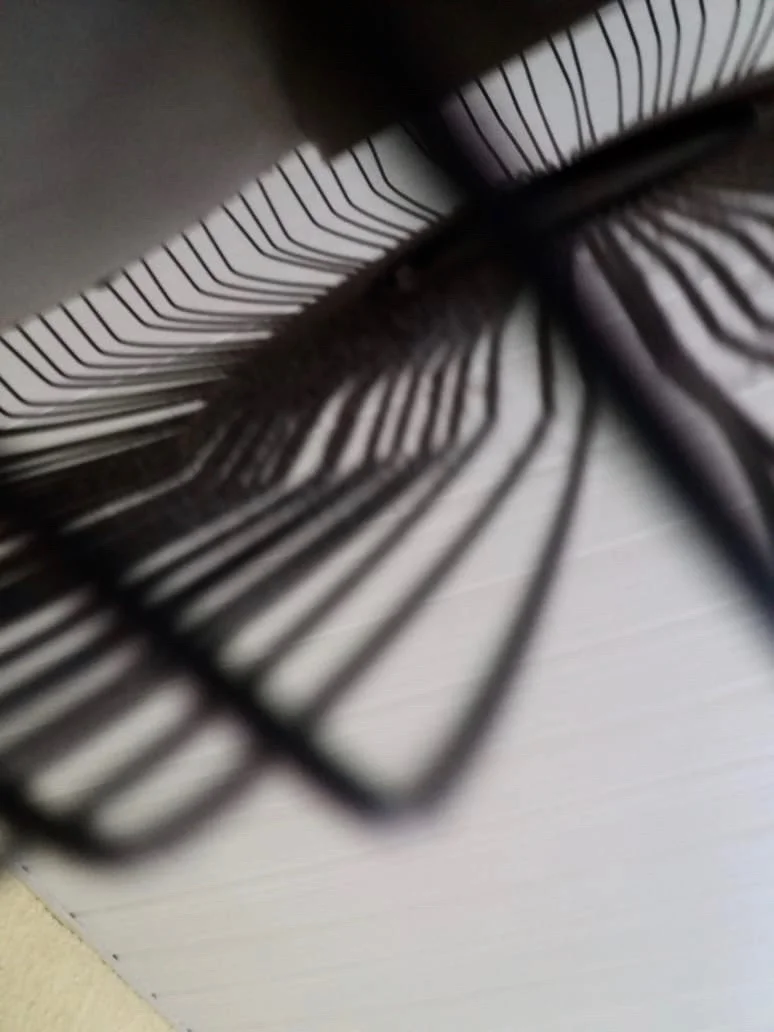  Felipe da Silva Santana 