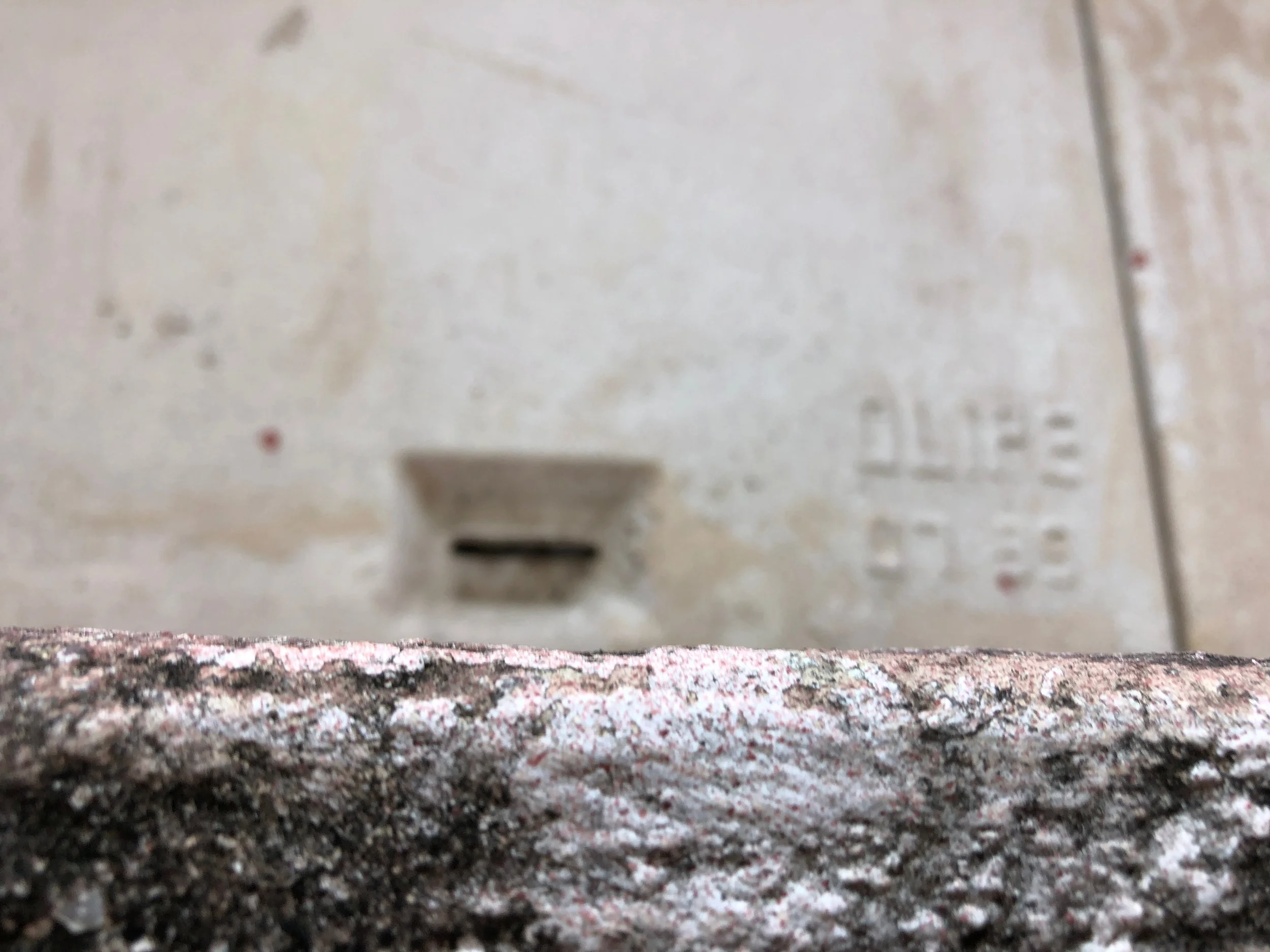  Khyara Vitoria Ferreira de Oliveira 