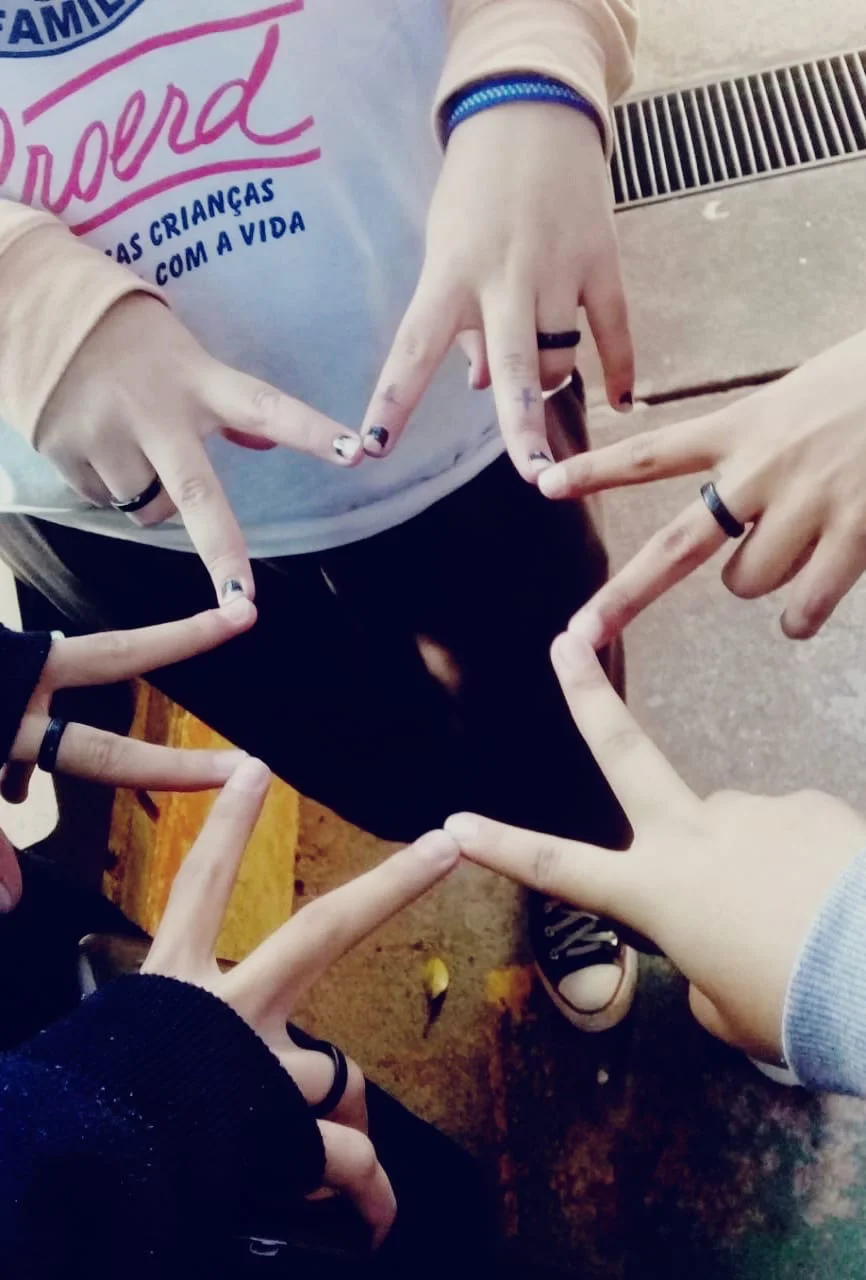  Ana Luisa Araujo Lima 