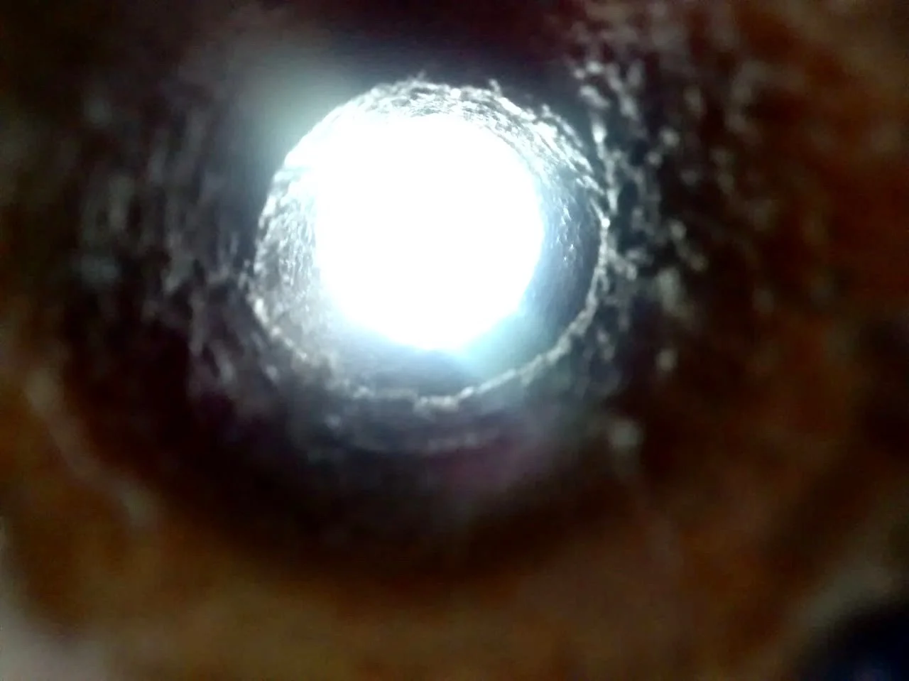  Vitória Saraiva Costa dos Santos 