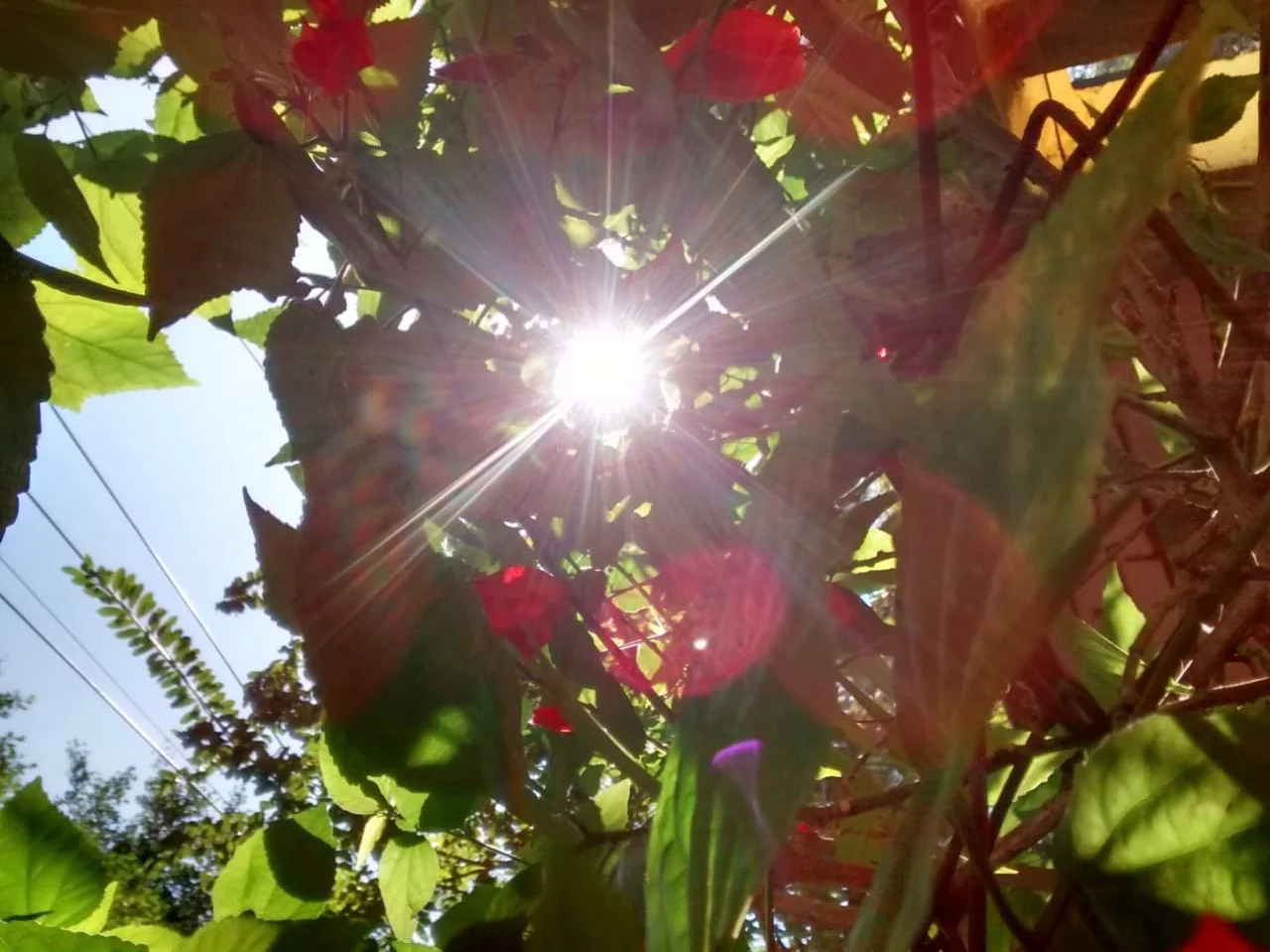  Vitória Saraiva Costa dos Santos 