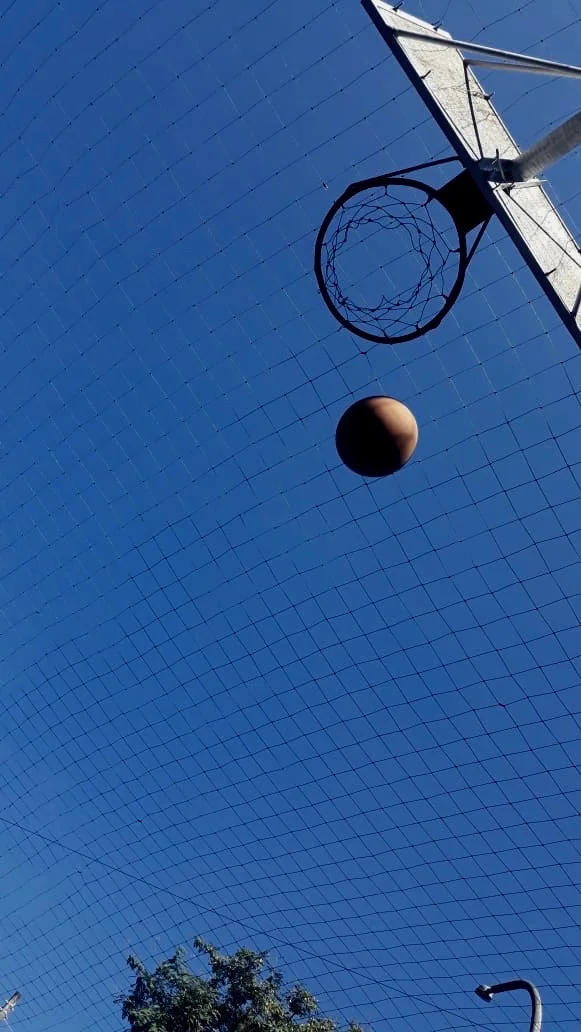  Guilherme Xavier Lemos e Laysla Sophia de Oliveira Santos 