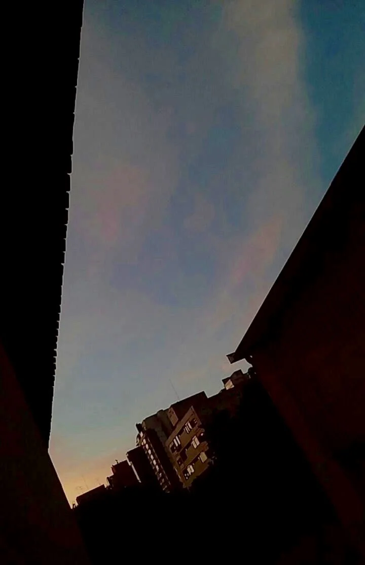  Ana Luisa Araujo Lima 