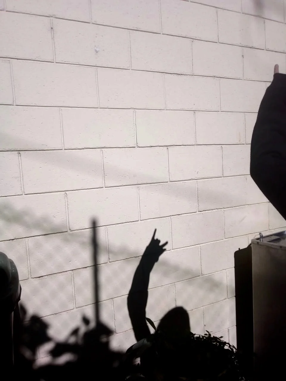  Yasmin Lucia Gomes Tarquinio 