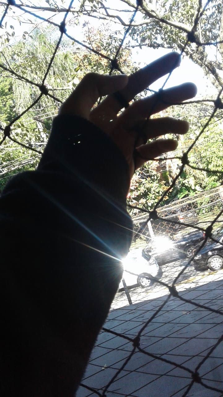  Thainá Brito de Paiva 