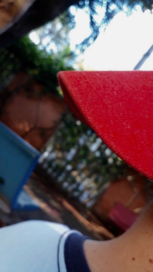  Ana Carolina da Silva Moura 