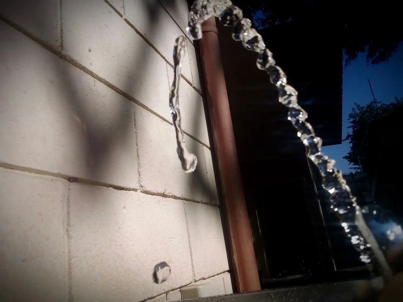  Yasmin Lucia Gomes Tarquinio 