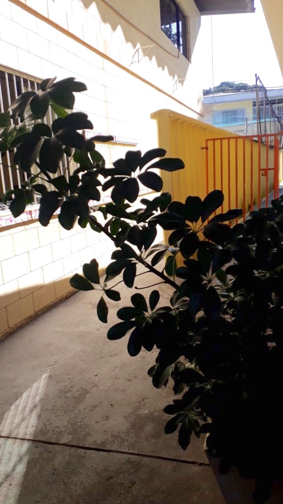  Ana Carolina da Silva Moura 