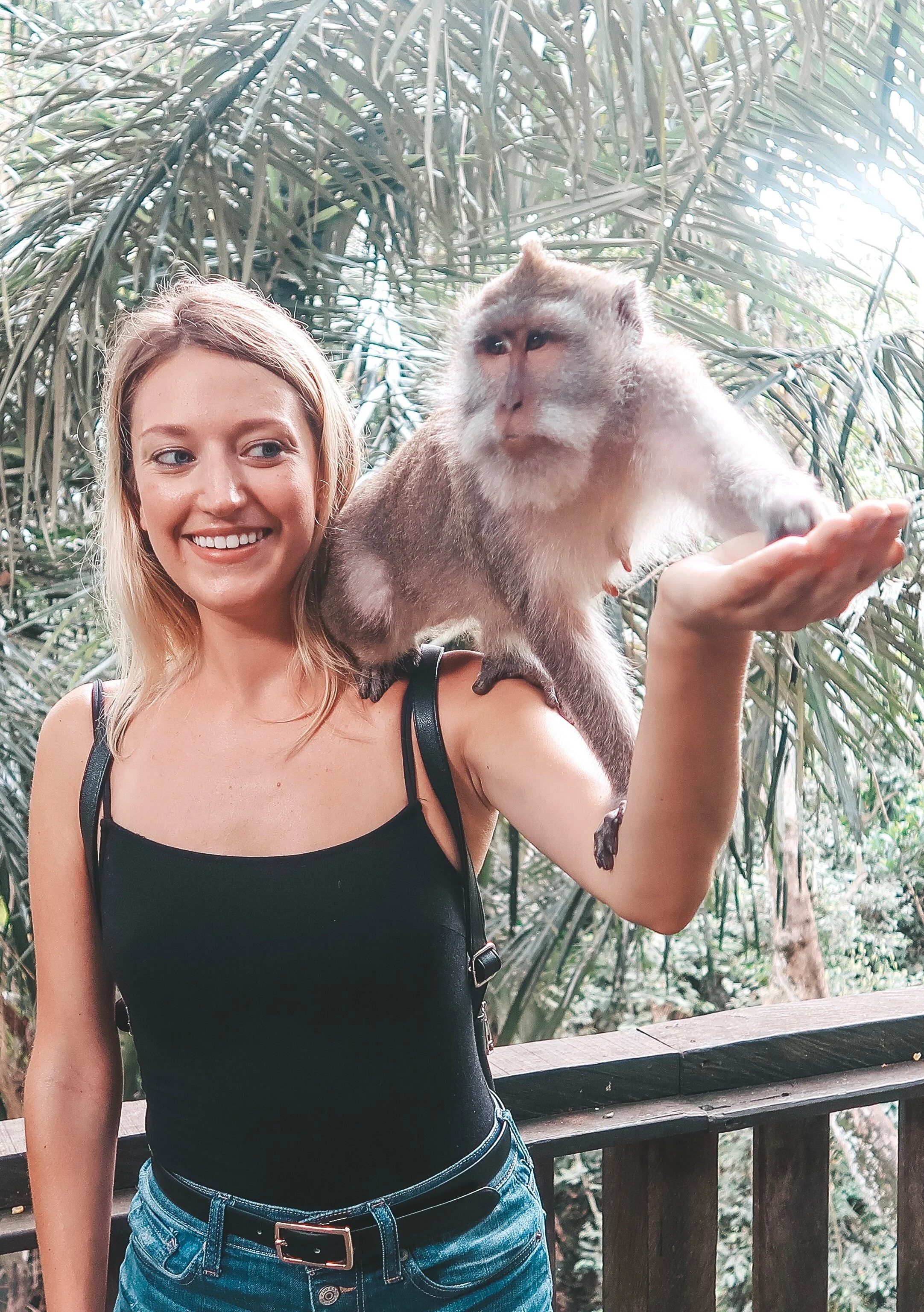 Ubud Travel Guide: Exploring Bali’s Cultural Paradise