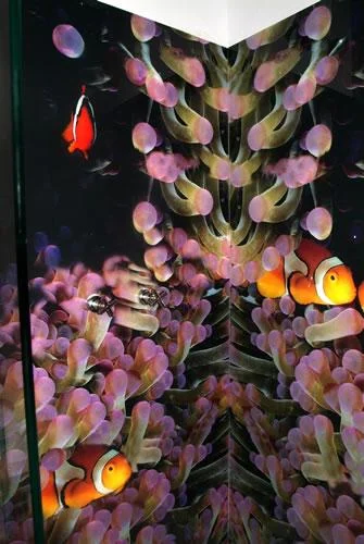 SHOWER SURROUND PEDREIRA, BRASIL 1.jpg