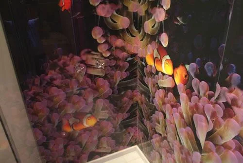 SHOWER SURROUND PEDREIRA, BRASIL 4.jpg