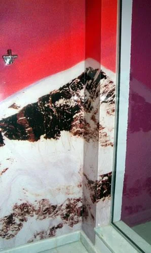 SHOWER SURROUND SAO PAOLO BRASIL  DETAIL.jpg