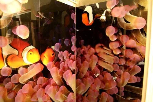 TROPICAL FISH SHOWER SURROUND ACAPULCO MEXICO 3_tif.jpg