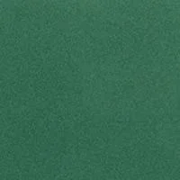 met alpine grn.jpg
