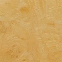 wood LIGHT BURL.jpg