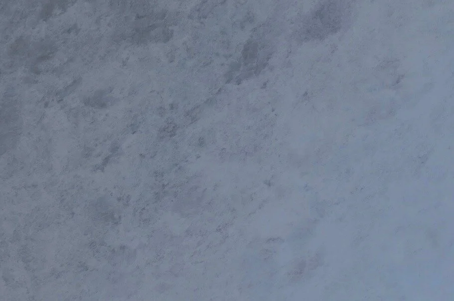 Screen Shot 2020-02-22 at 7.59.30 PM.jpg