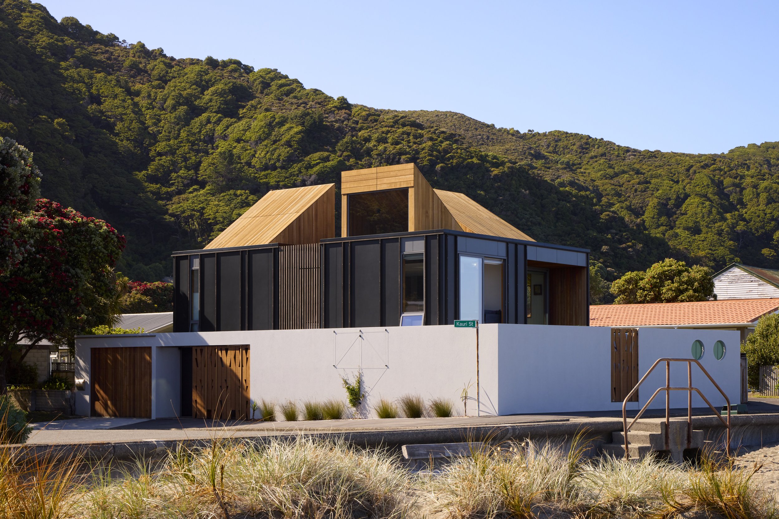 Kauri Street - Eastbourne 