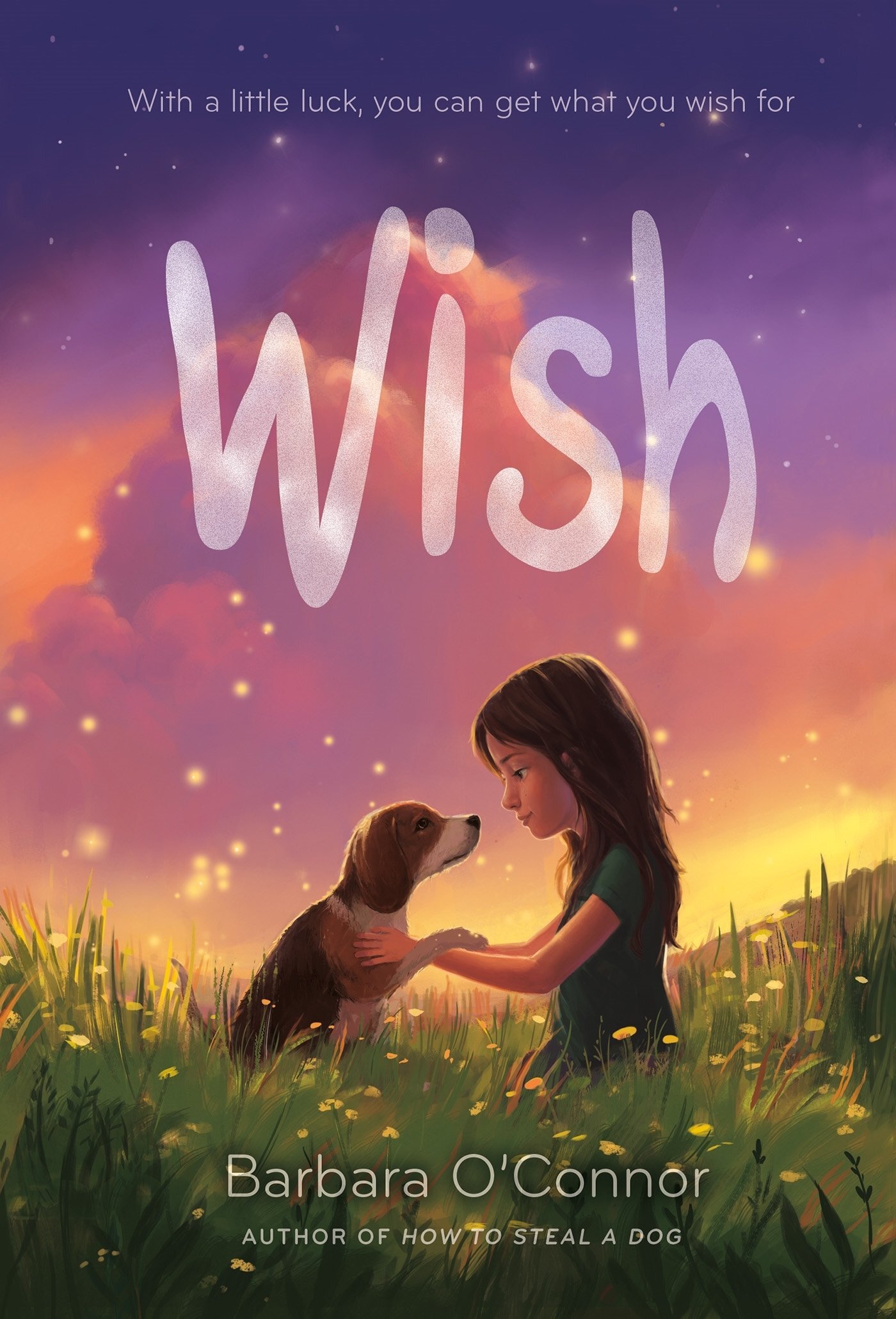 Wish – Barbara O’Conner