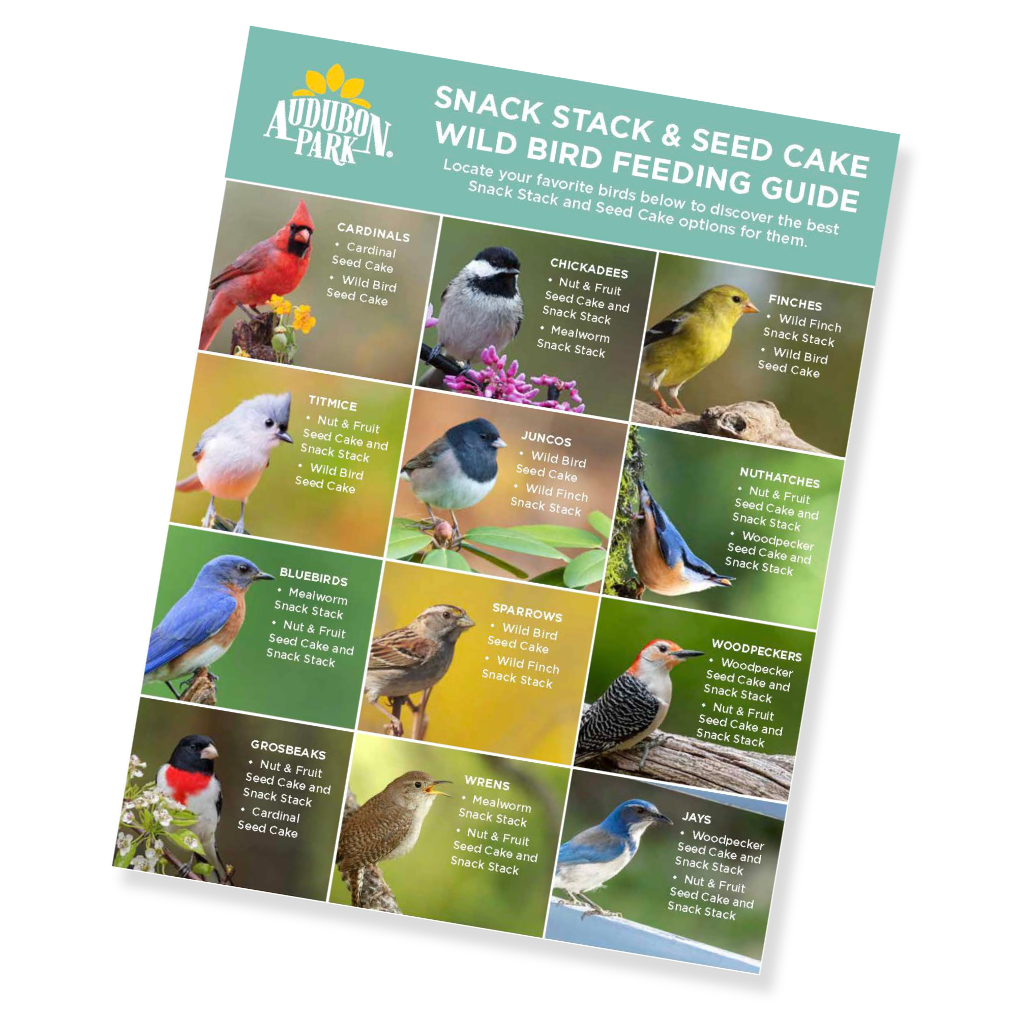 Audubon Park Feeding Guide