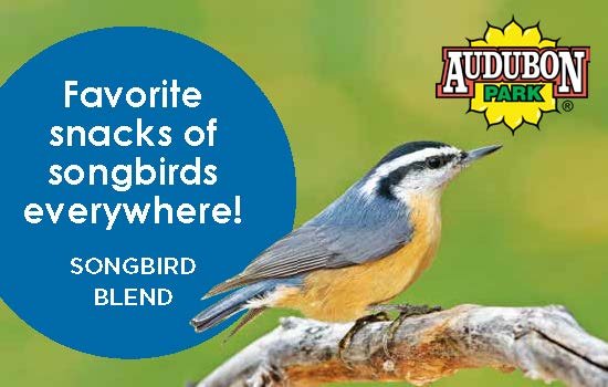 Songbird Blend Shelf Talker