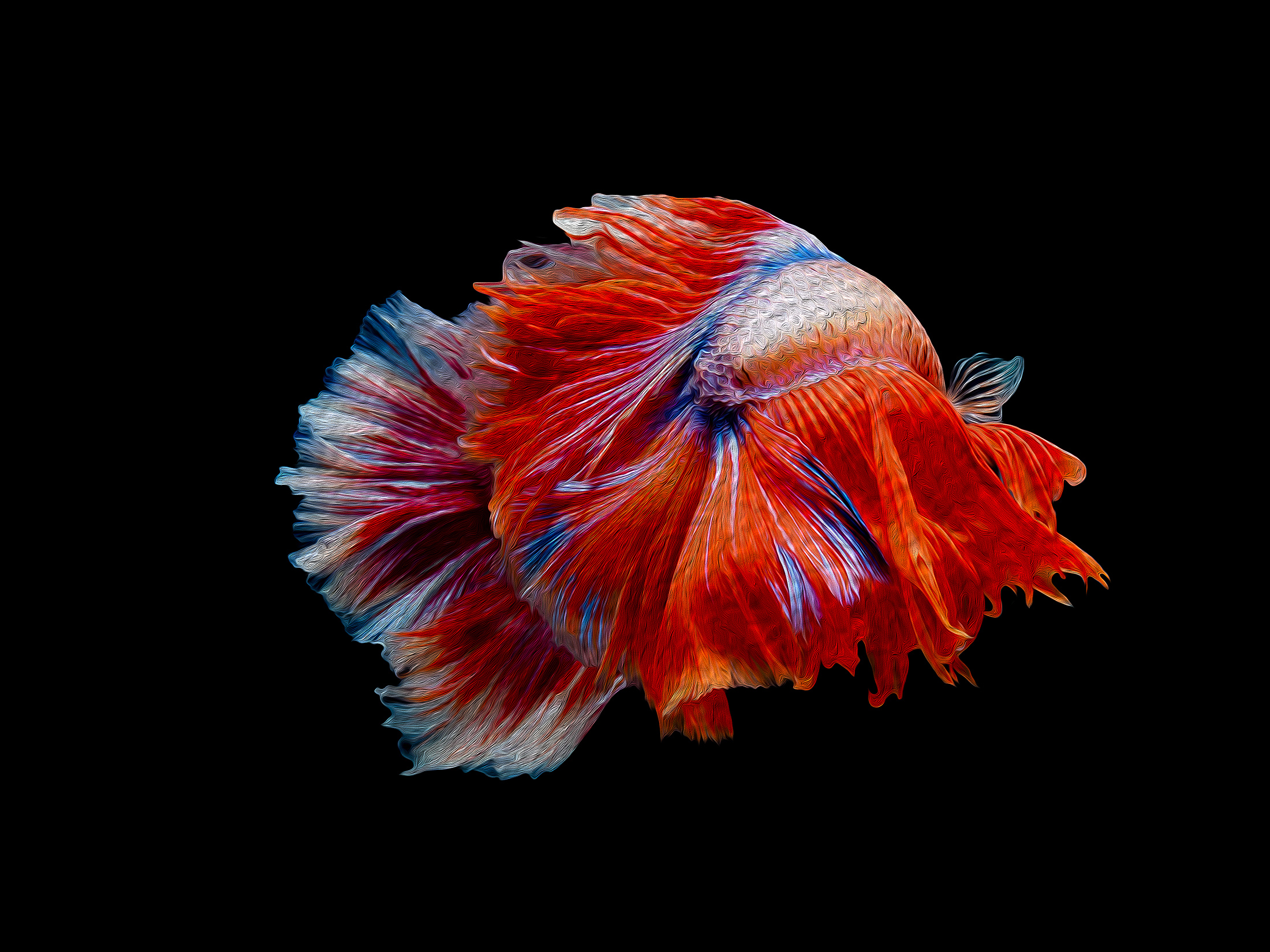 shutterstock_1228515094-small.jpg