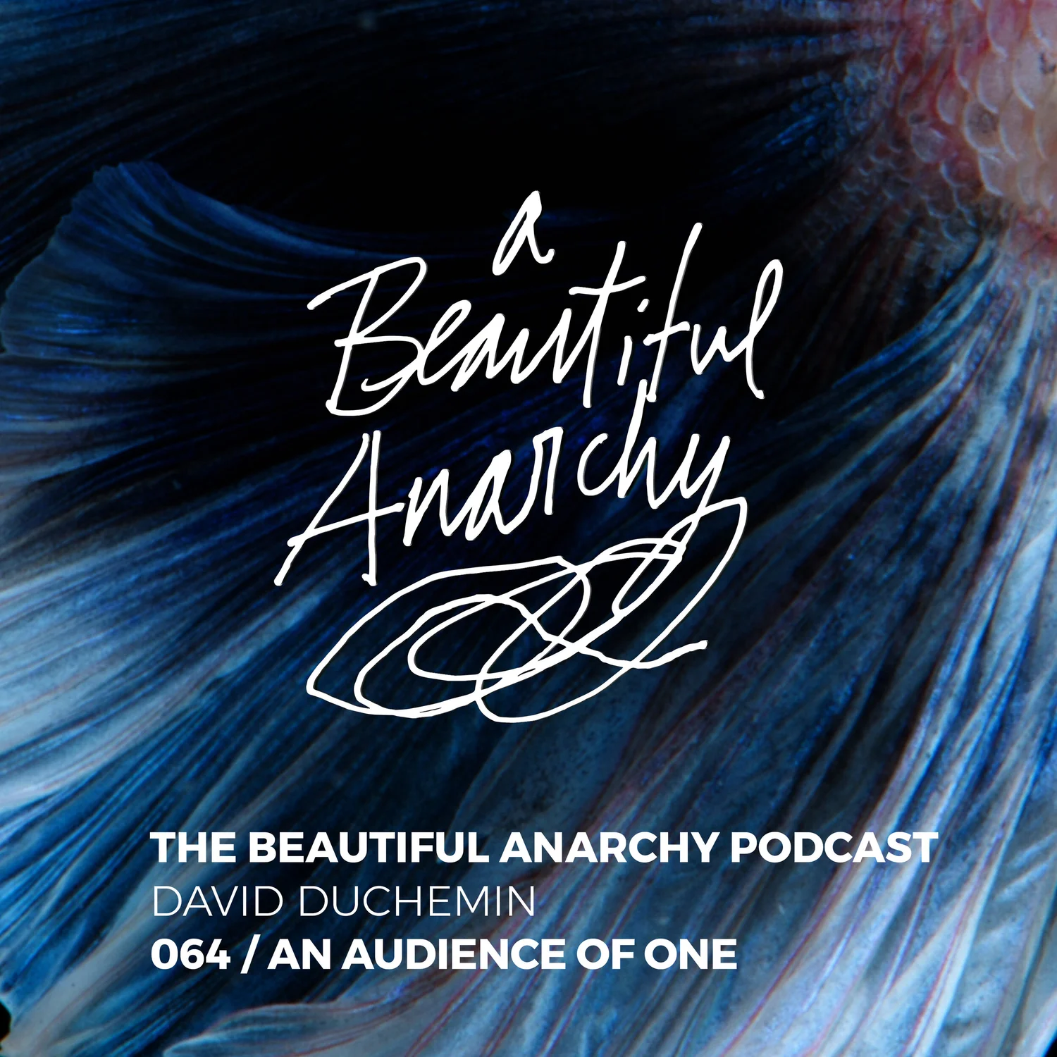 An Audience of One episode artwork