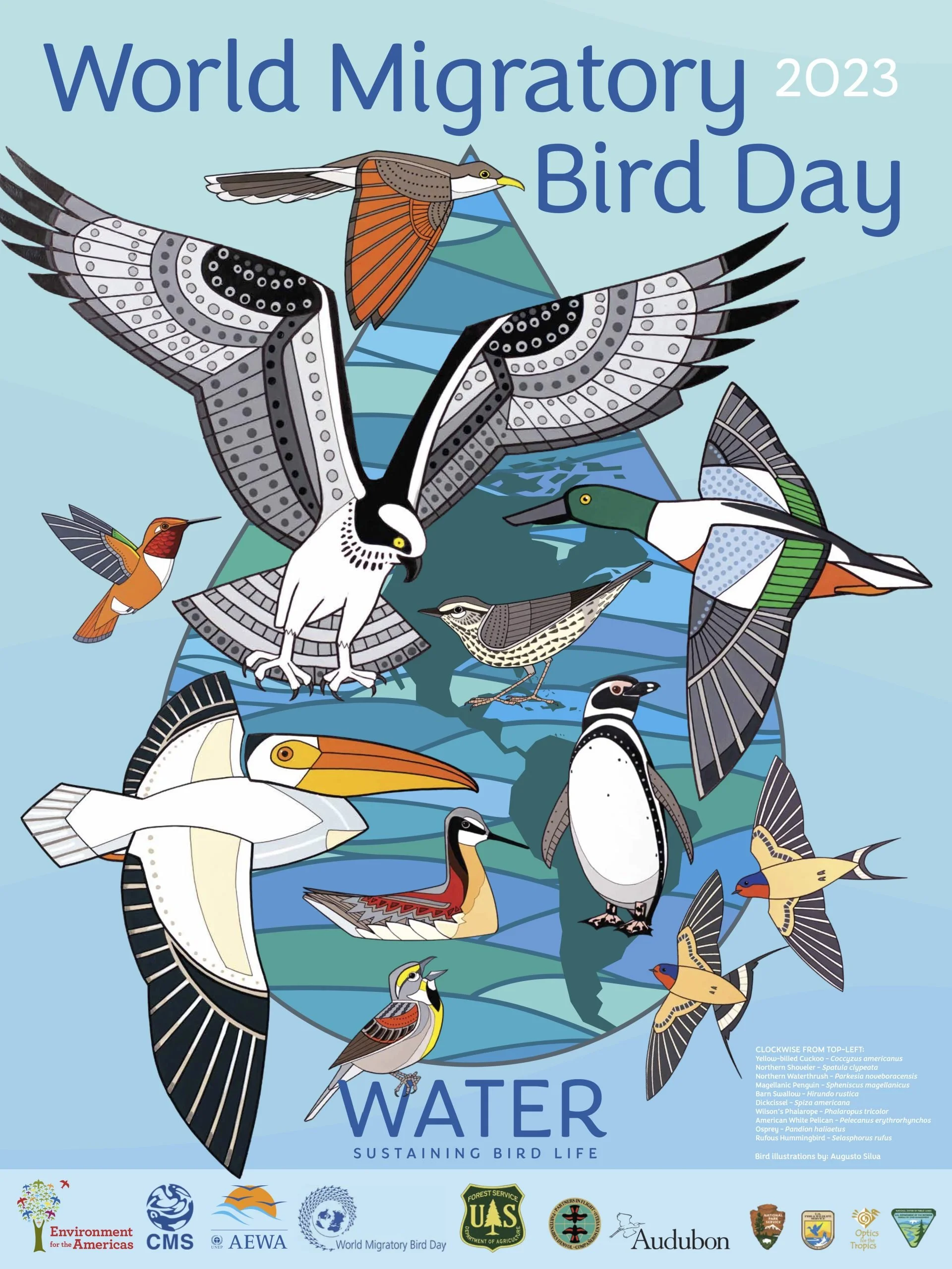 World Migratory Bird Day Lake Helena Watershed Group