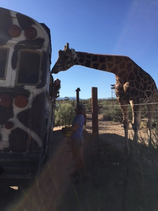 mother-son-date-night-ideas-mr-b-s-baby-bumper