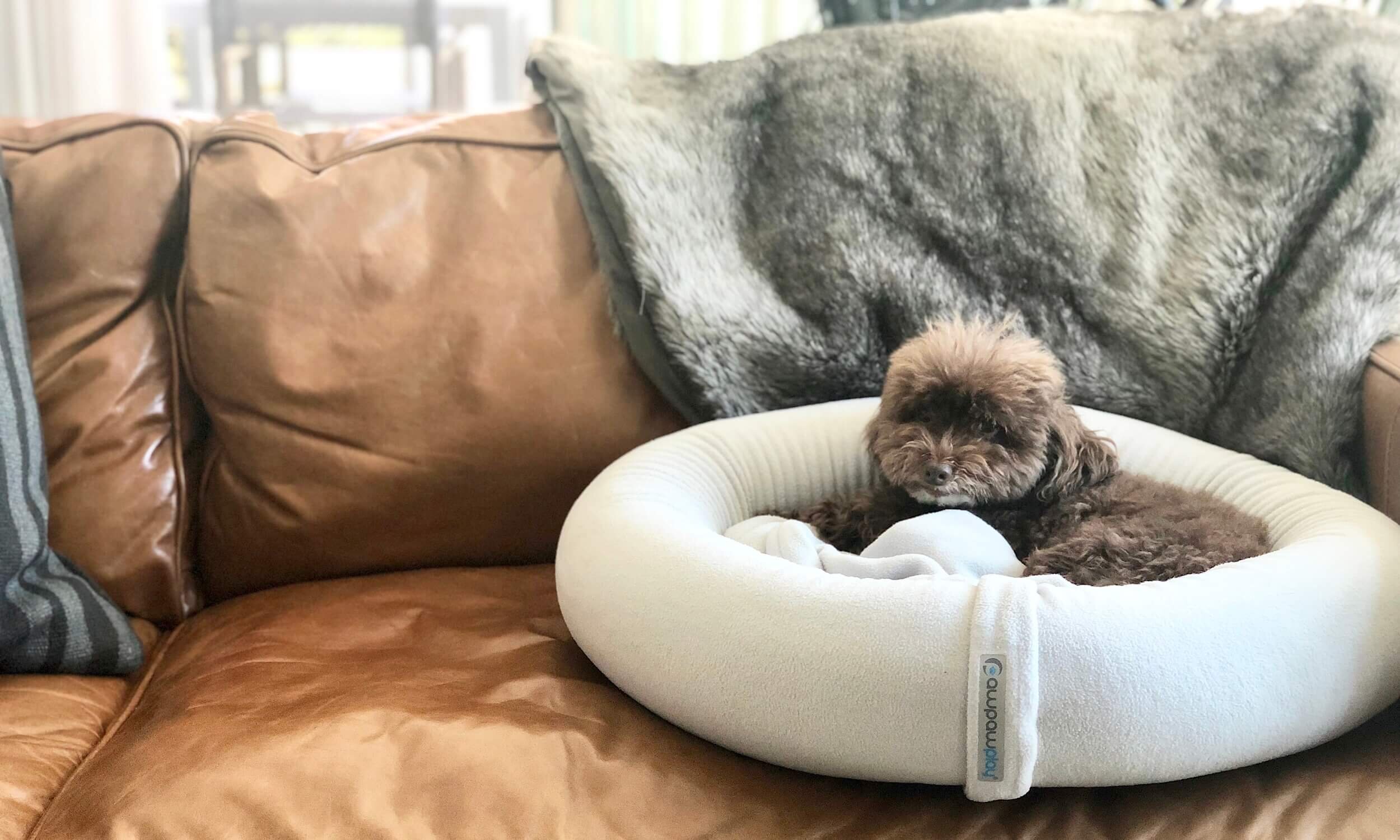Poodle Bed For Puppies Cat Cave Pawpawplay