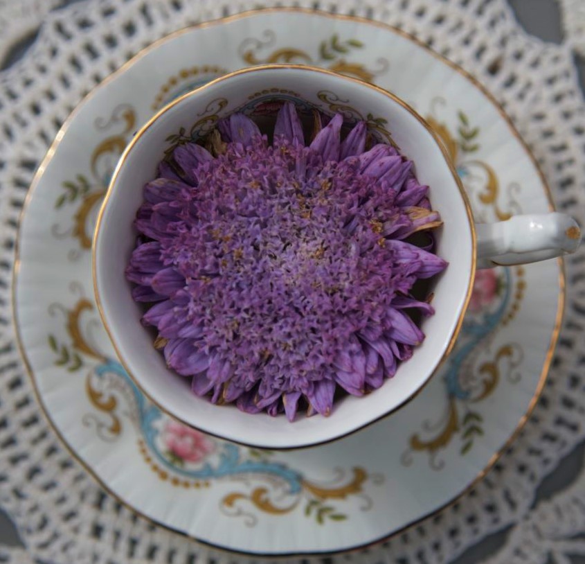 purpleflowerteacup-2.jpg