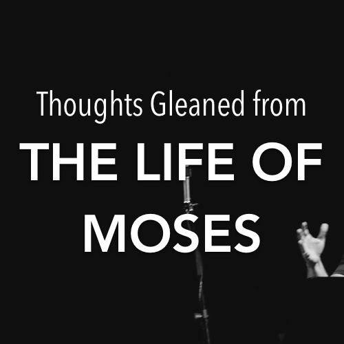 Thoughts Gleaned from the Life of Moses