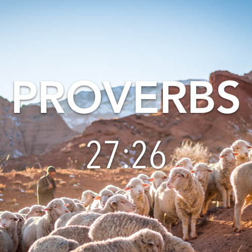 Proverbs 27:26