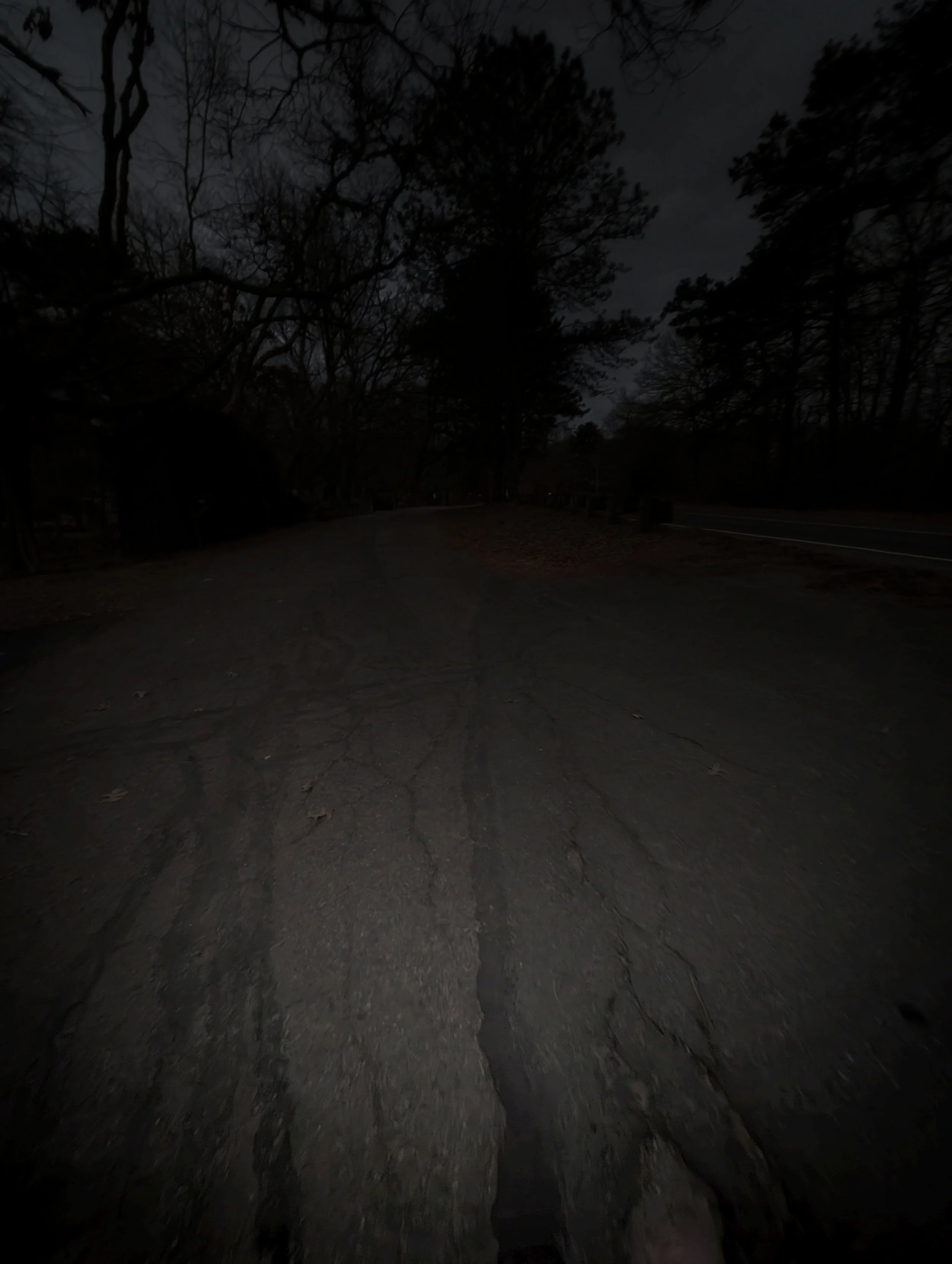 Creepy at end.jpg