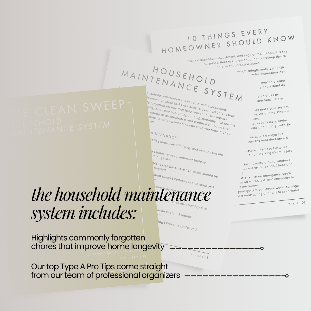 CLEAN SWEEP _ DUO MINI _ 01 (2).png