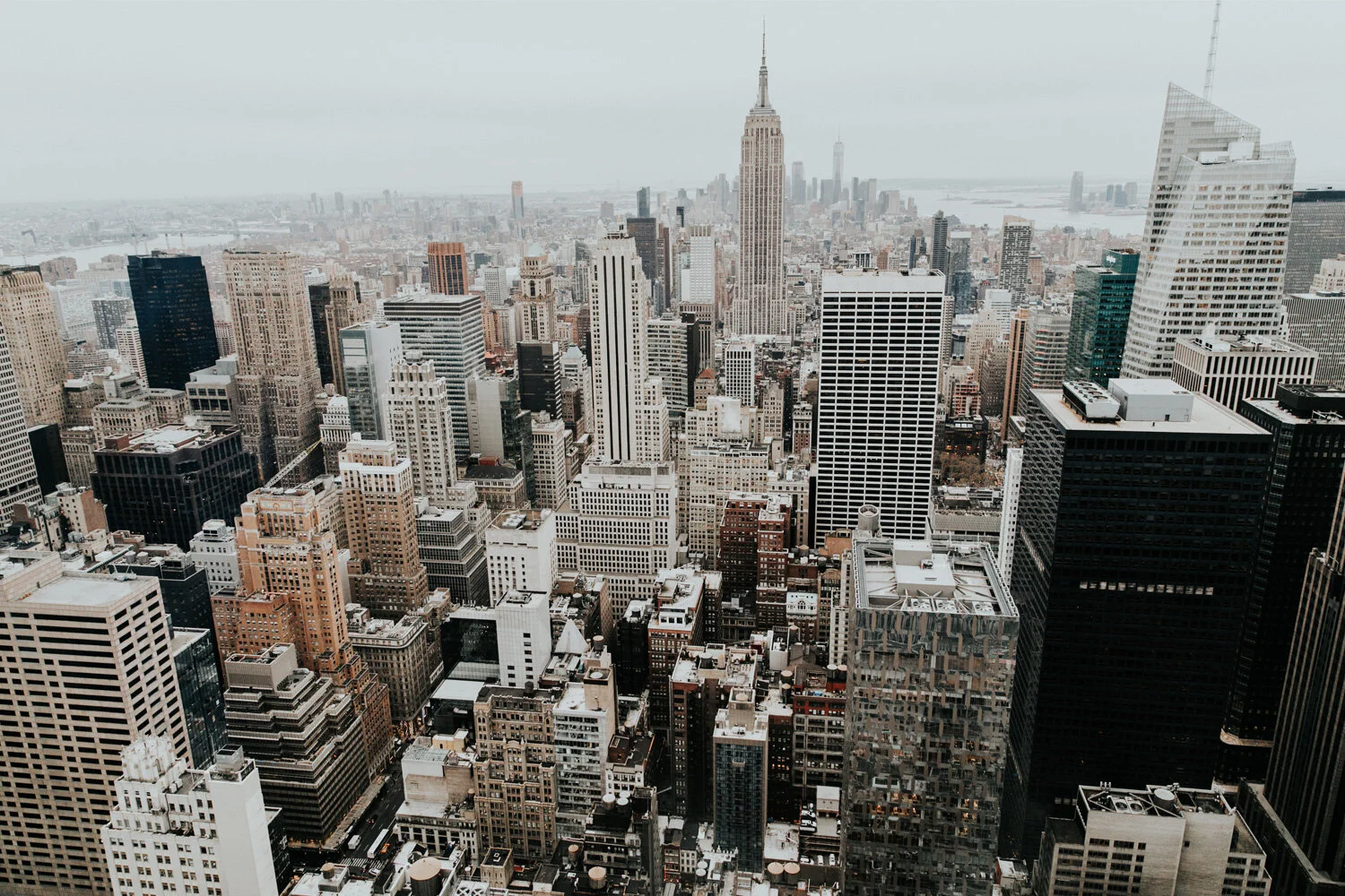 Shining in the Concrete Jungle