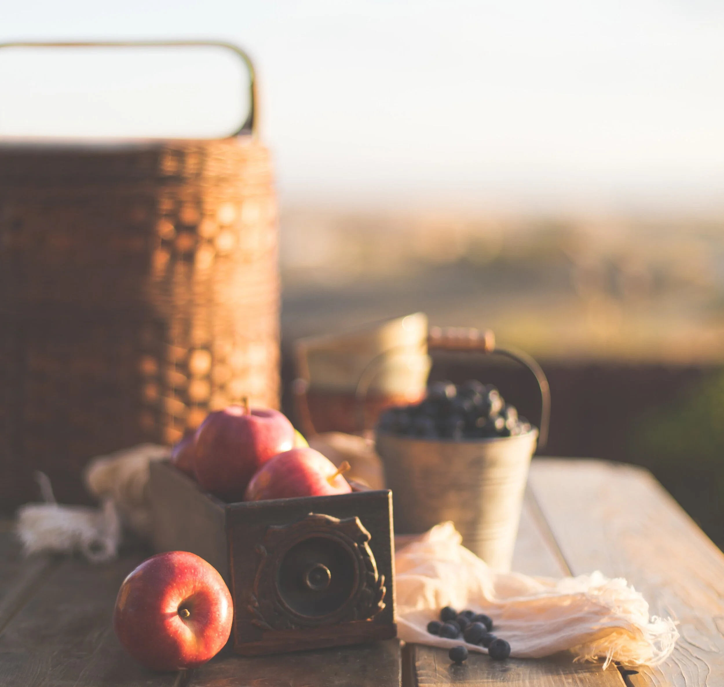 Table+with+apples.jpg