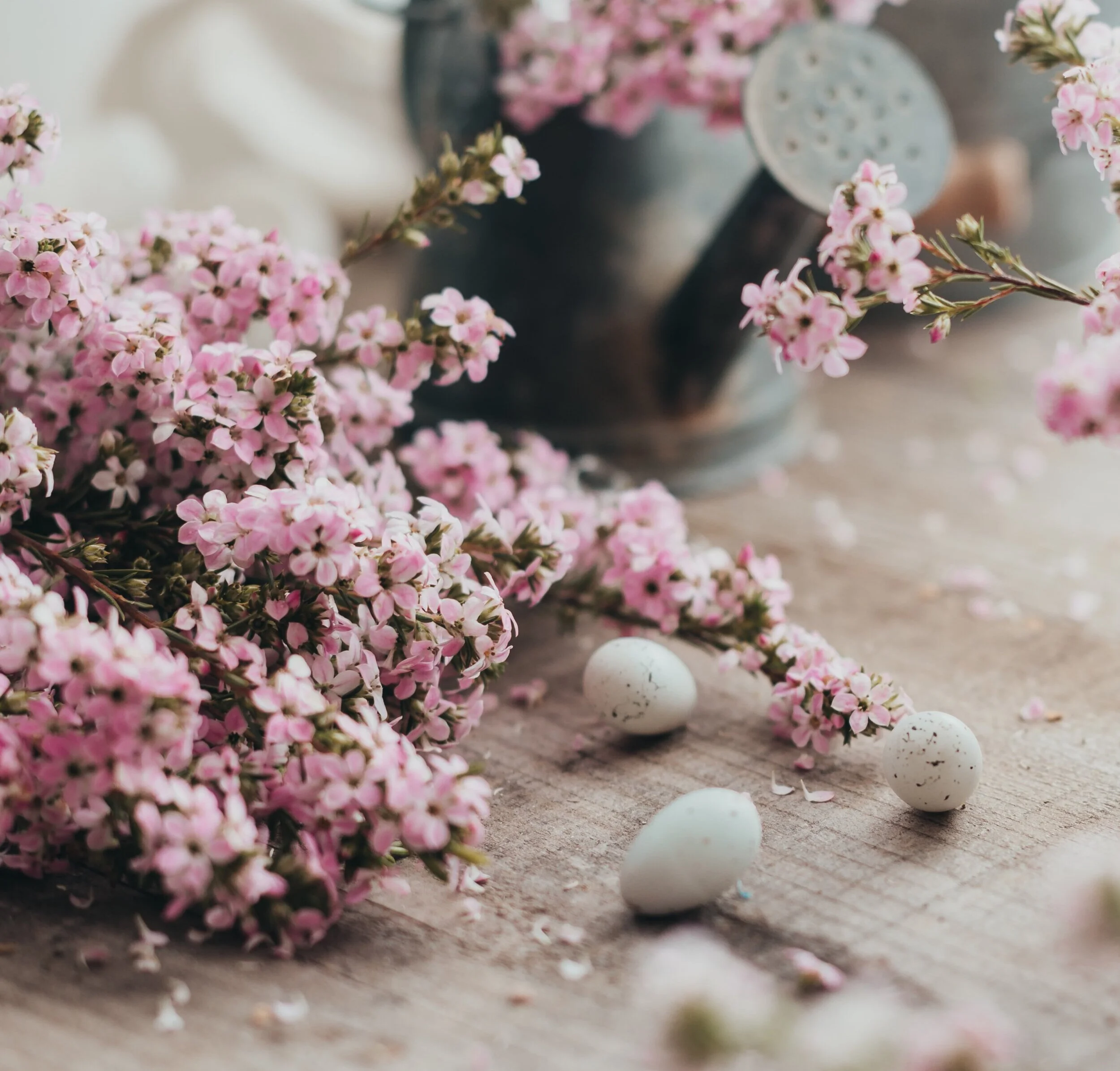 Pink+flowers+with+eggs.jpg