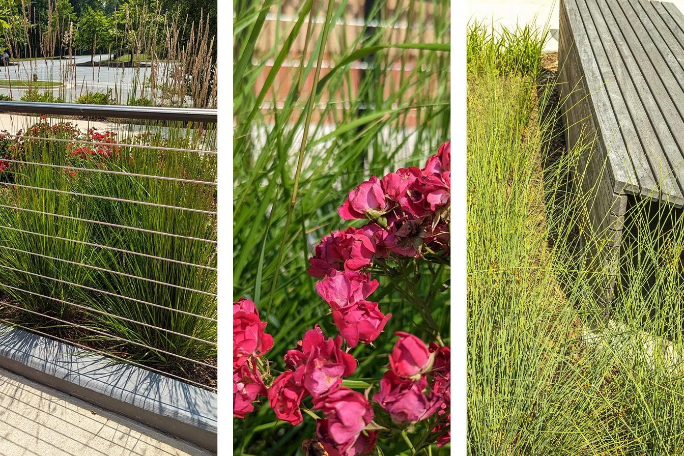 .11_SANDVIK final9.jpg