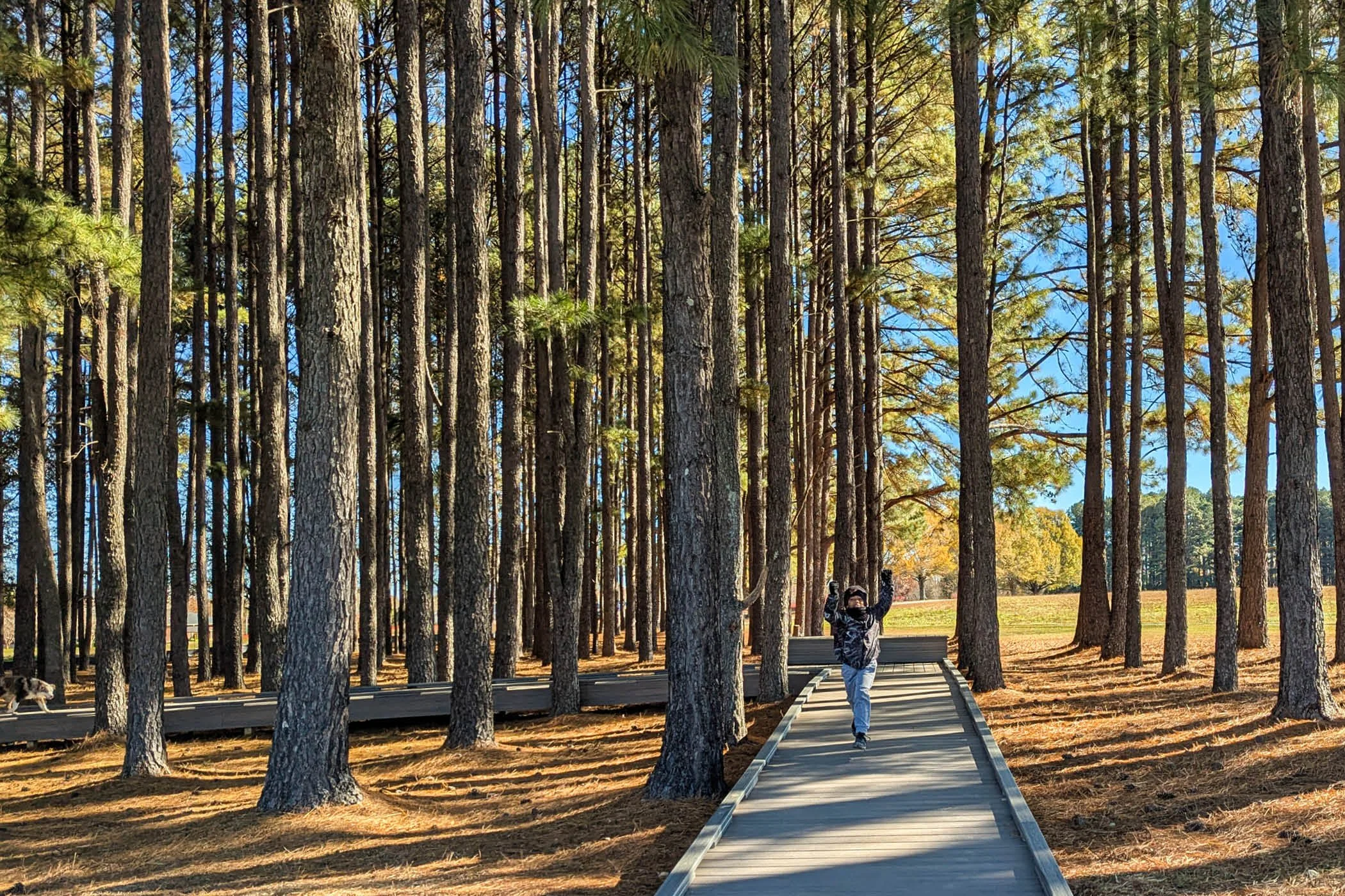 .11_VETERAN'S MEMORIAL4.jpg
