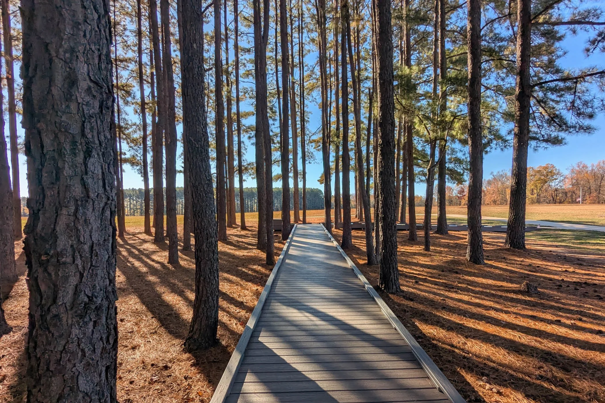 .11_VETERAN'S MEMORIAL6.jpg