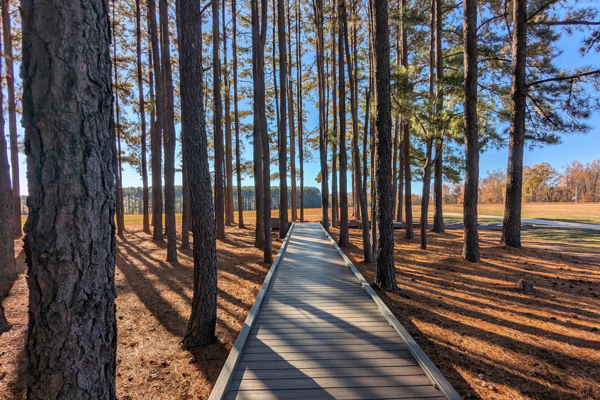 .11_VETERAN'S MEMORIAL6.jpg