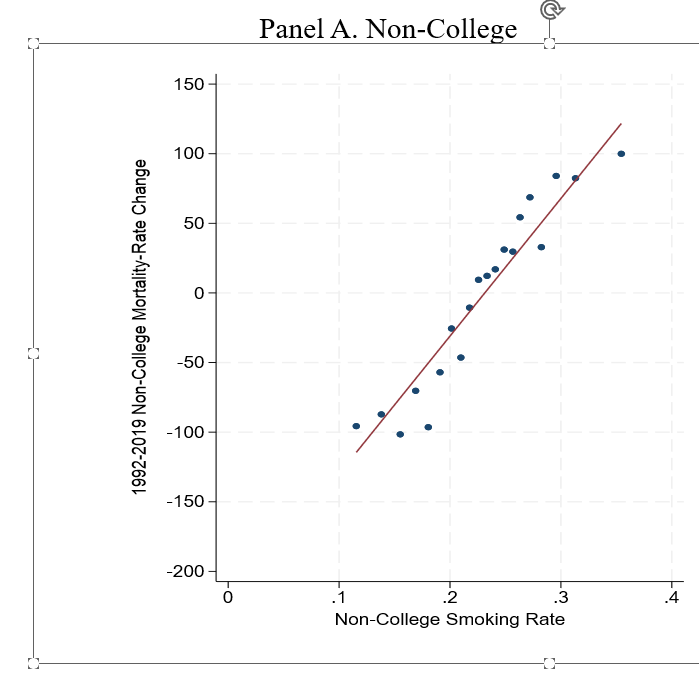 Explaining the Widening Divides in US Midlife Mortality: Is There a Smoking Gun?