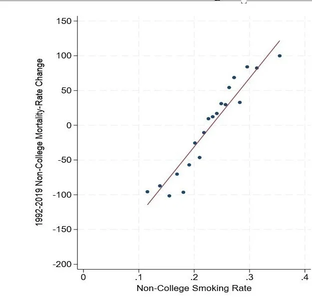 Explaining the Widening Divides in US Midlife Mortality: Is There a Smoking Gun?
