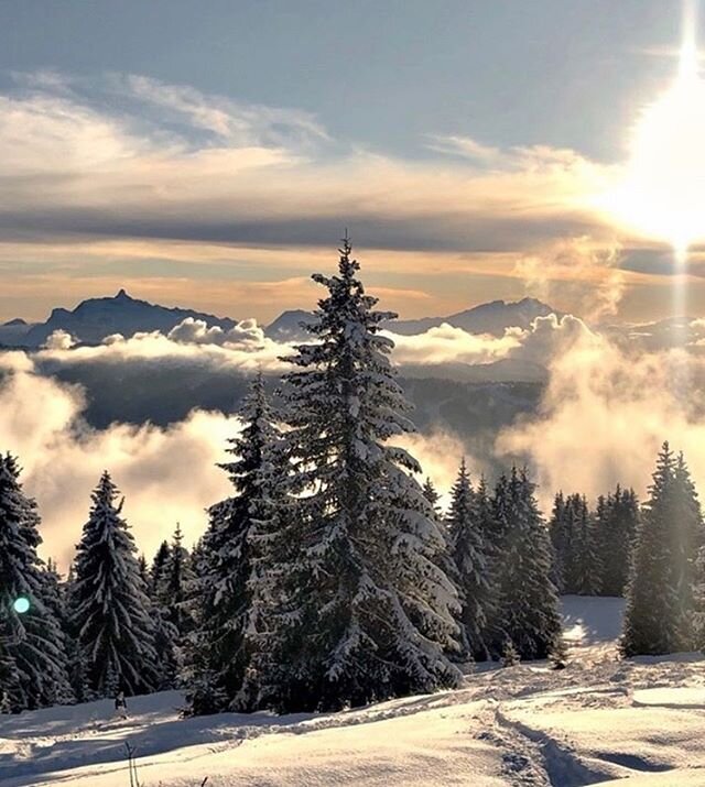 An awesome shot to end an epic day innovation the mountain. Happy Friday all!
.
.
.
.

#tgski #morzine #Meribel #skiing #instatravel #skid&aring;kning #wintervacation #ski&euml;n #hiihto #skil&oslash;b #ski #sneeuw #wintersport #vakantie #лыжи #powde