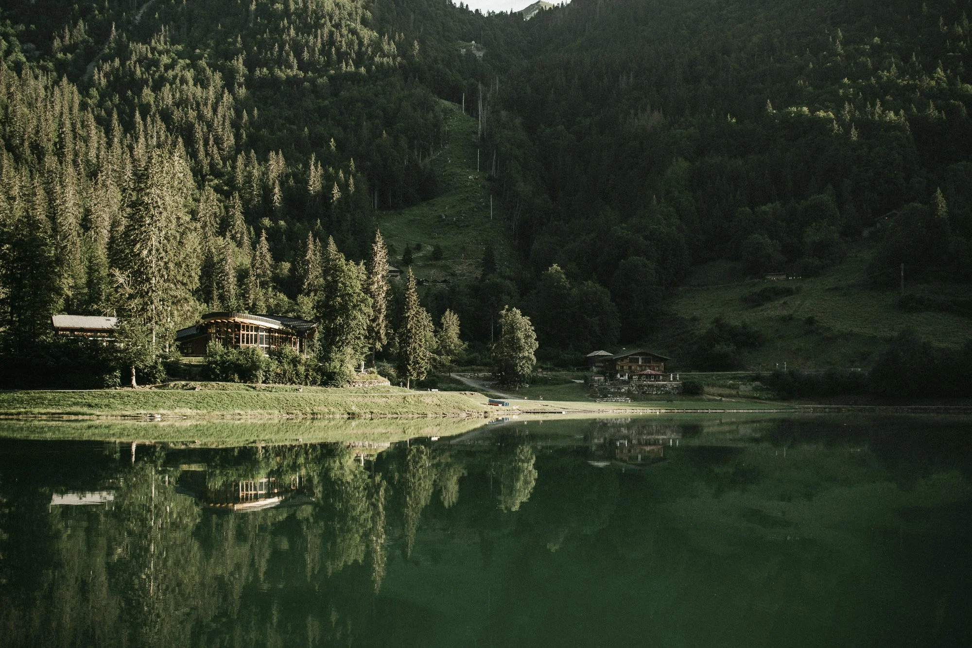 annie-spratt-ALJhu1L7nrE-unsplash.jpg