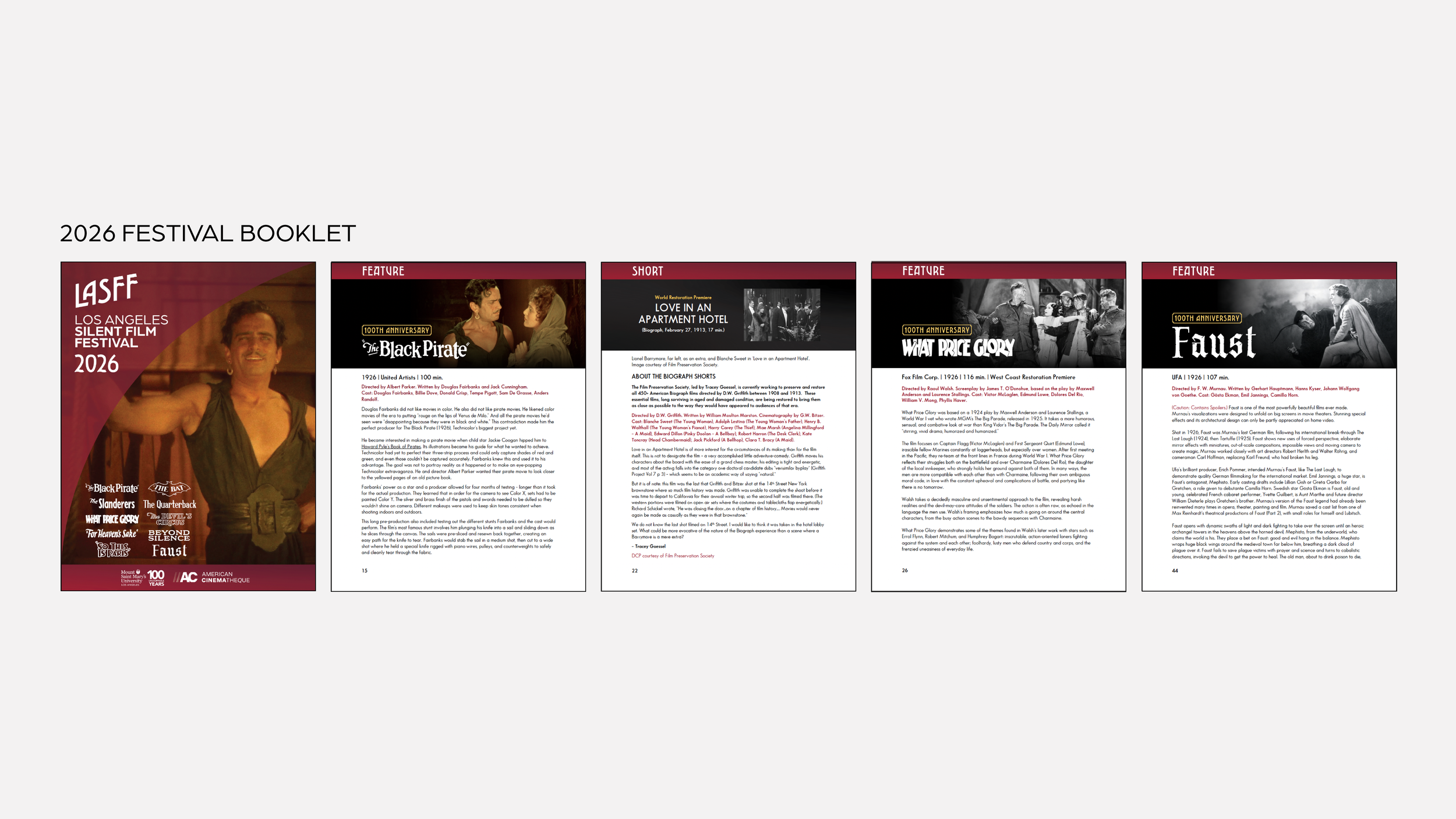LASFF-PORTFOLIO5.png