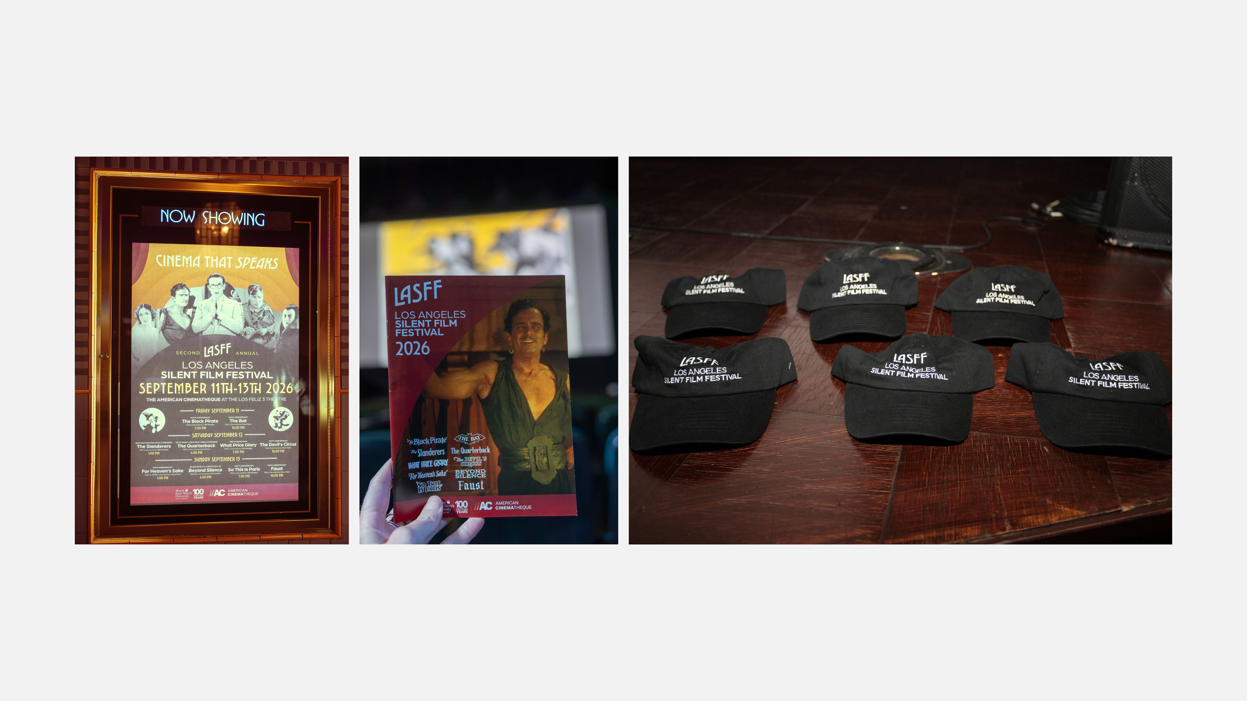 LASFF-PORTFOLIO6.png