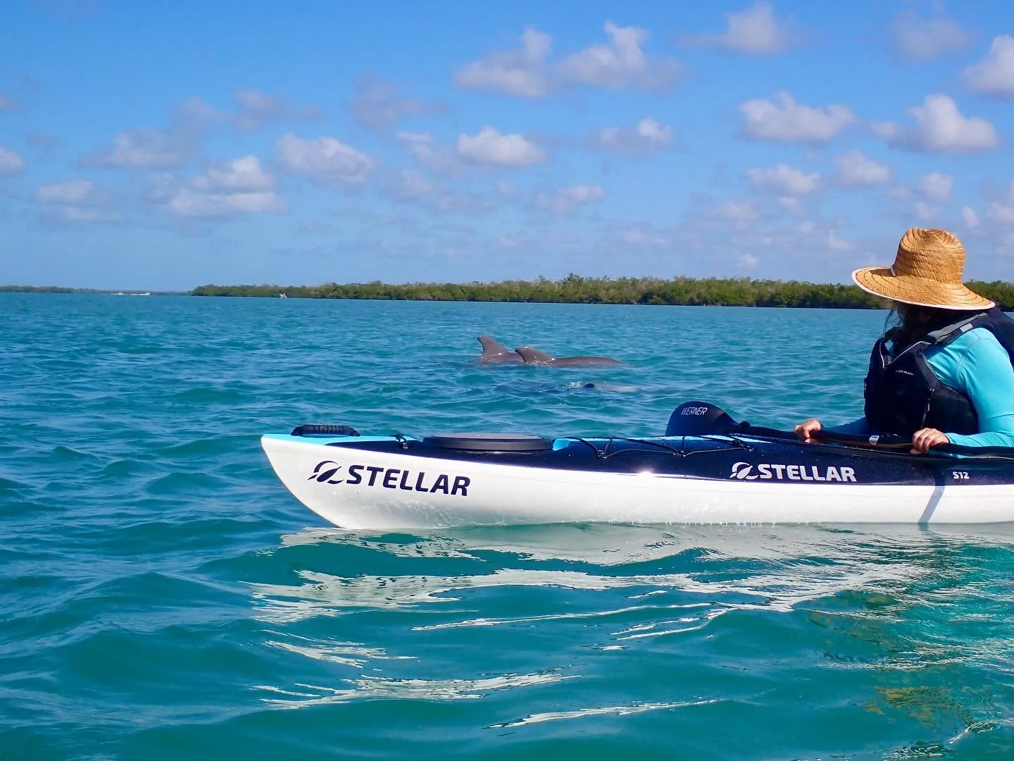 Maiden voyage in the new boat &amp; surrounded by dolphins. That&rsquo;s got to be a good sign! 🐬 ✌🏻💙✨

Shout out to Mango for the 📸 &amp; an awesome time paddling!

#kayak #stellarkayaks #dolphins #paddlingwithdolphins #paddling #naples