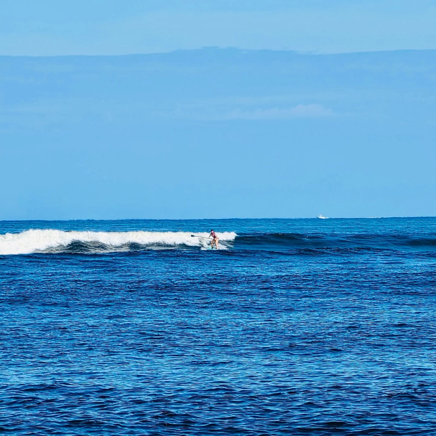 Nor&rsquo;easter swell made for a really fun weekend 🌊✌🏻💙✨