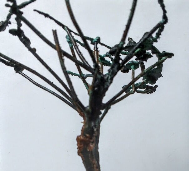 Kite Arner decaro tree.jpg